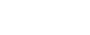 Techo